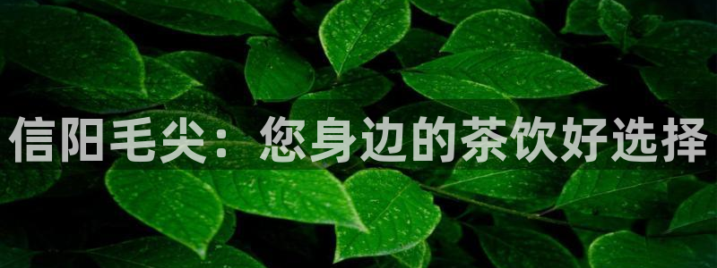 金汉江年会