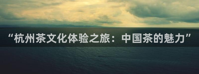 金年会彩票软件