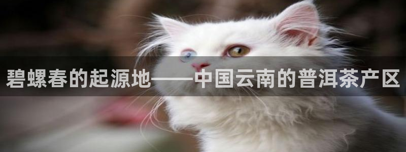 金年会平台是真的吗