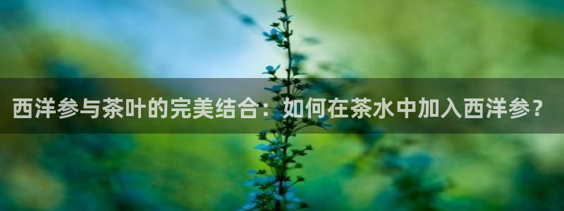金齿科年会