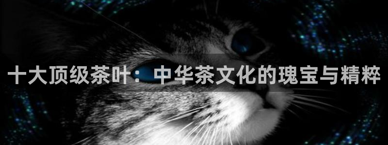 金年会提款