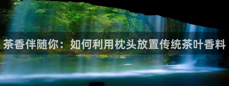 金年会退款