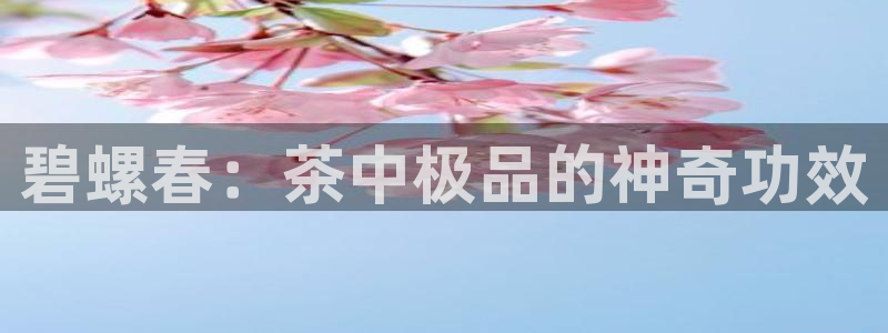 金年会金年会
