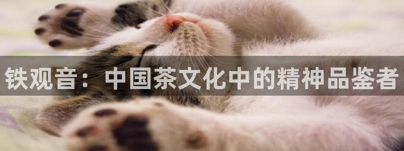 金年会体育平台入口