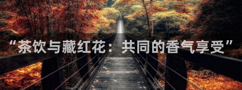 金年会金字招牌诚信