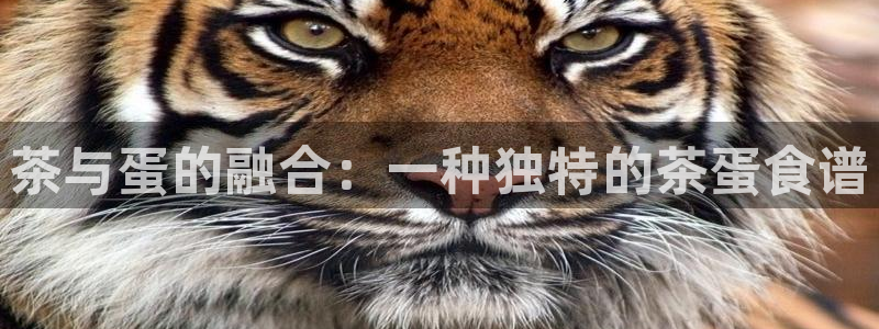 金年会入口
