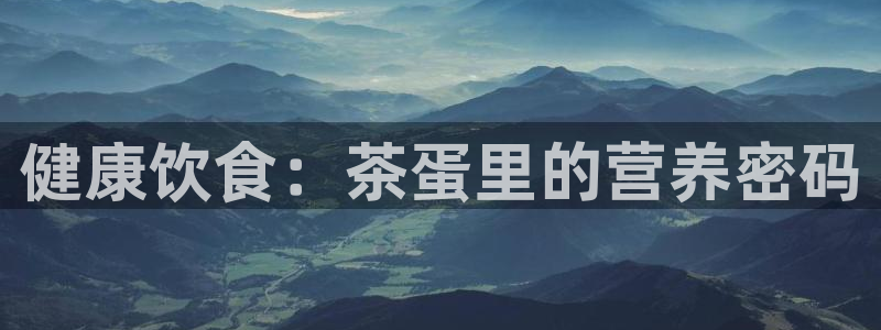 金年会菲律宾