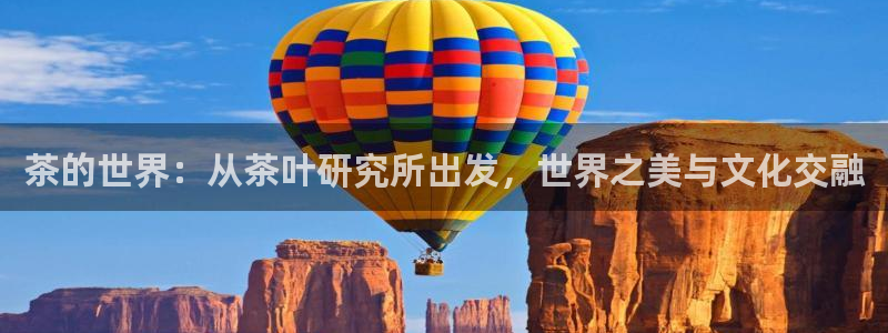 金年会APP安装下载