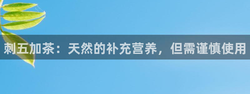 金年会菲律宾