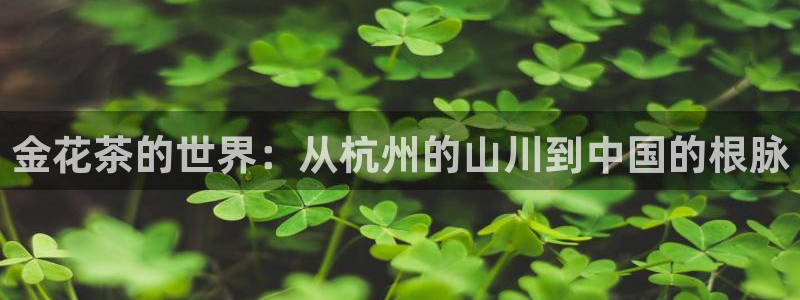 金年会网址