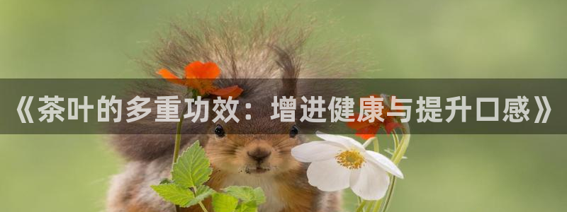 金年会 中国 金年会