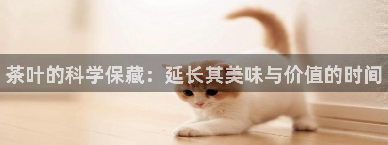 金金年会