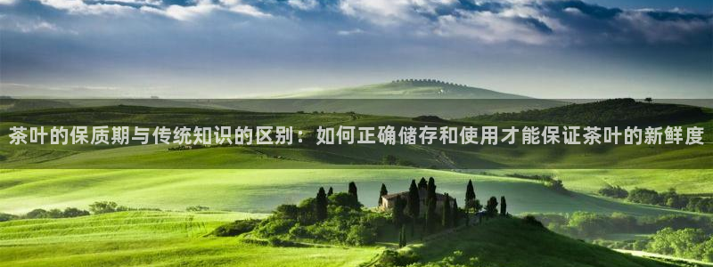 金年会官方网站下载