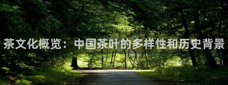 金年会活动策划