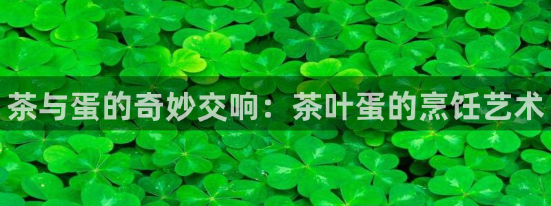 今年会金年会