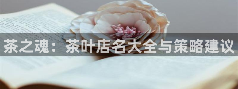 金年会品牌