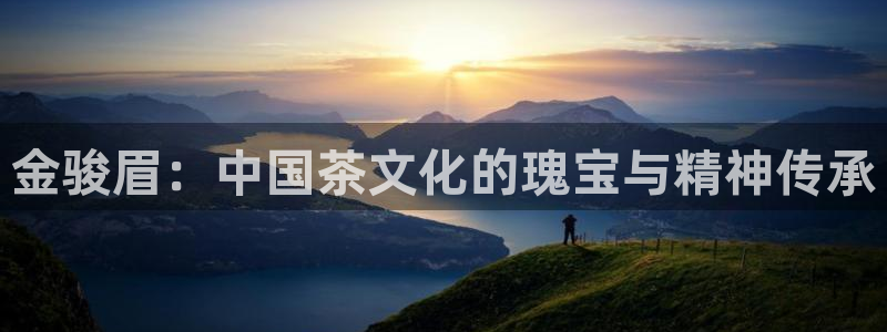 亚博金年会