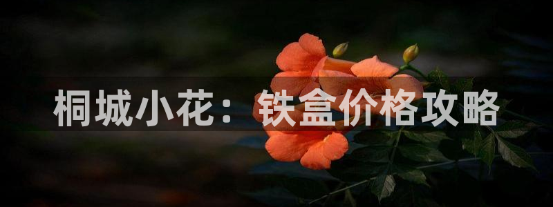 金年会最新官网