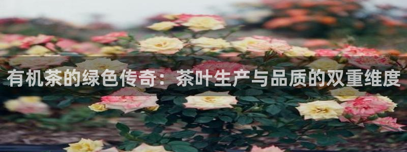 金年会娱乐-平台登录