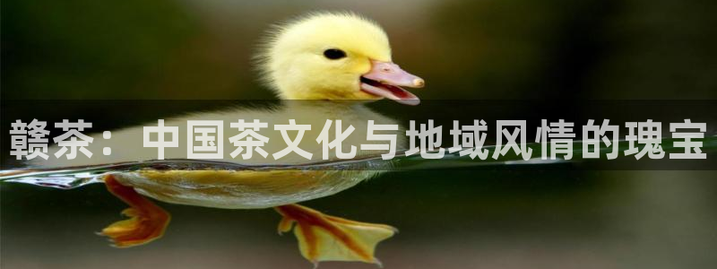 金年会活动