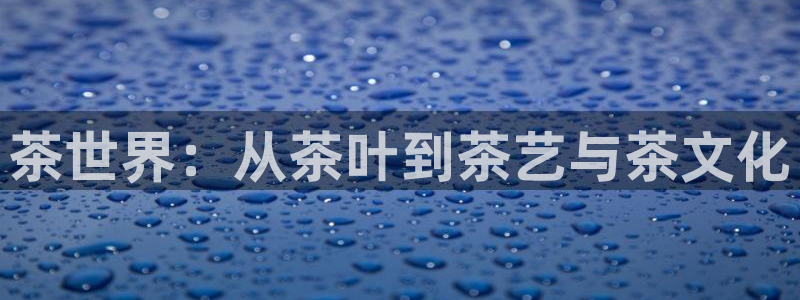 金年会体育下载app