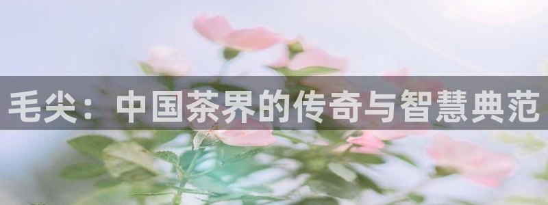 金年会金字招牌诚信