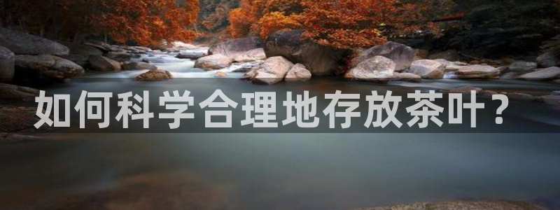 澳门金年会棋牌