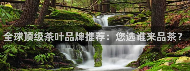 金年会最新登录