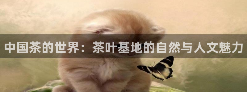 金年会体育