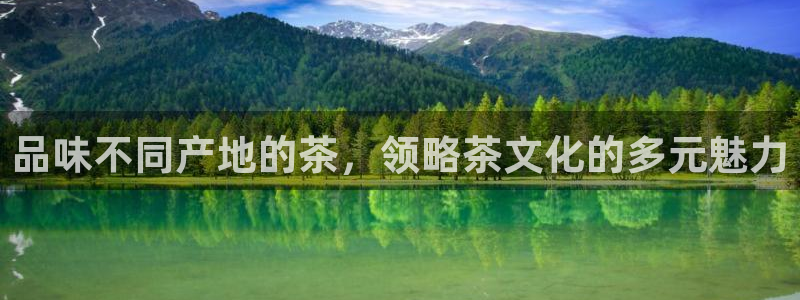 世纪金源年会