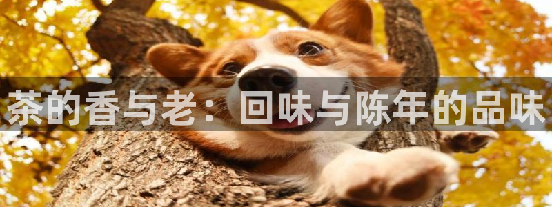 金年会在线下载