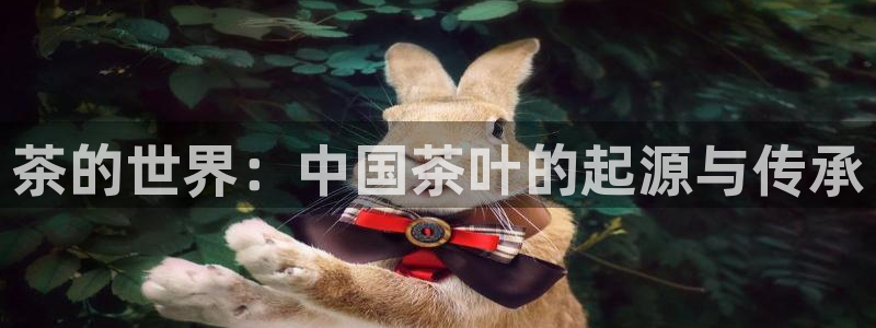 金年会官方网站入口