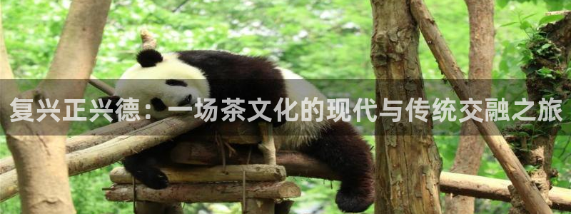 金年会提款慢