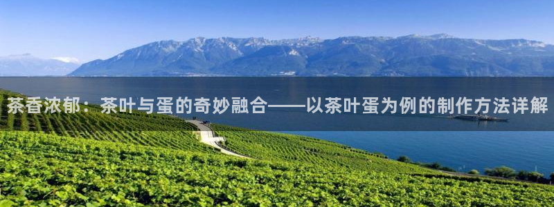 金金年会