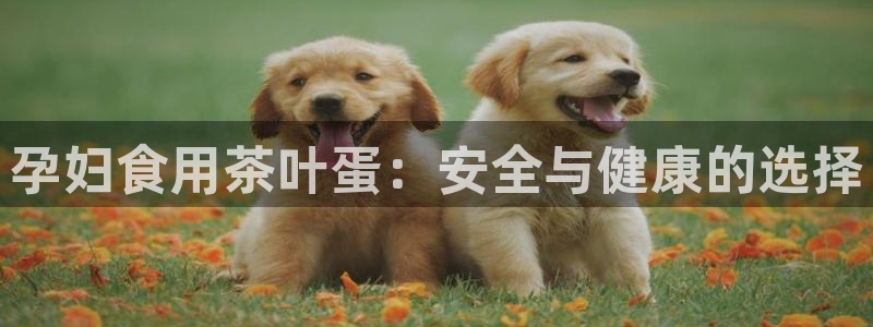 金年会金字招牌诚信