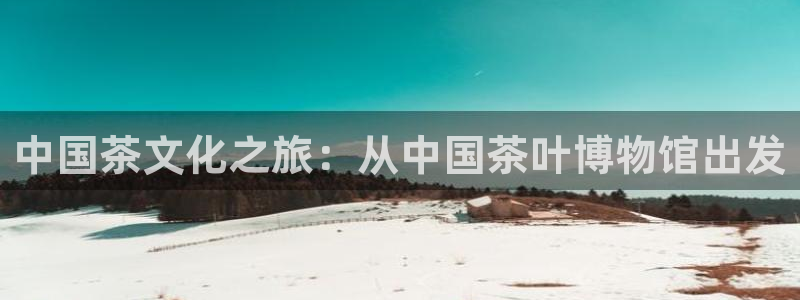 金年会手机app