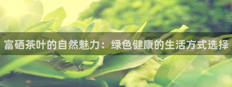 金年会官网地址