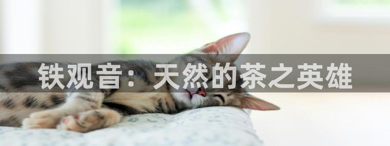金年会官方网