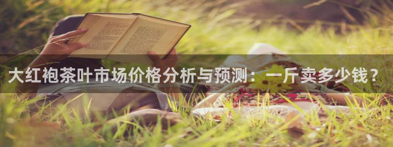 金年会软件之家下载