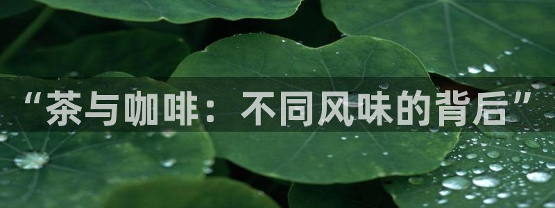 类似金年会