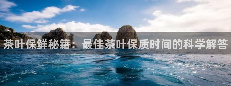 金年会官