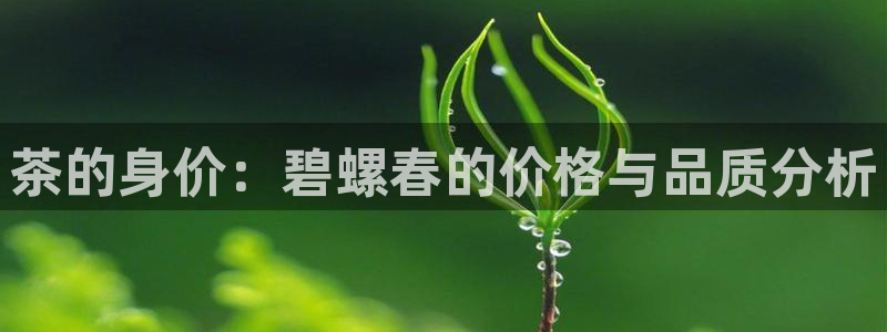 金年会手机网页版登录