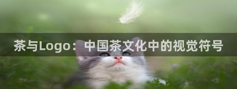 金年会安装