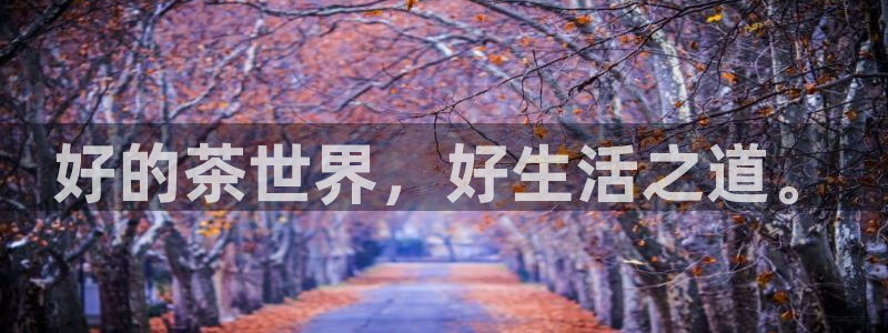 金年会官方网站下载
