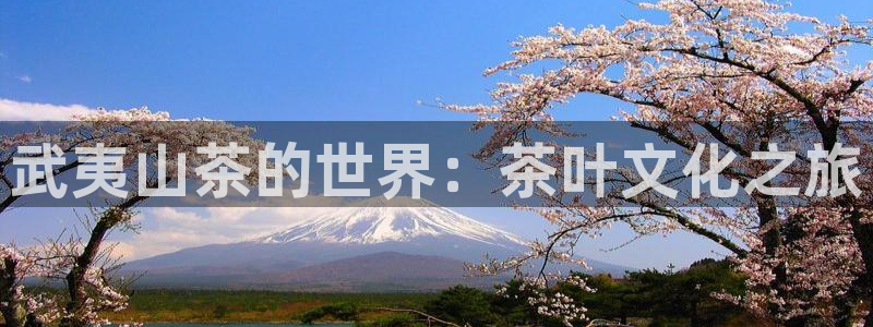 金齿科年会