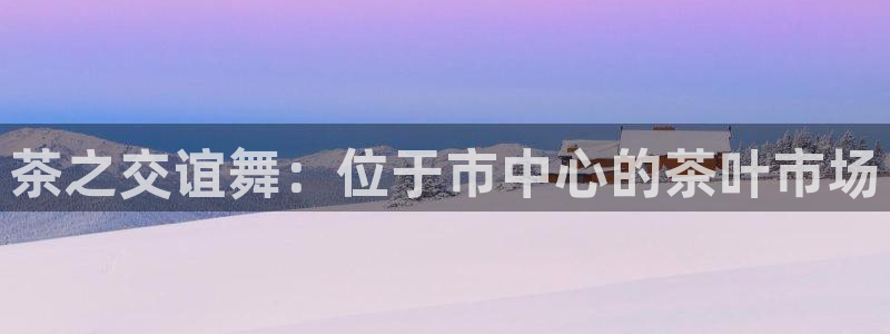金年会娱乐提现