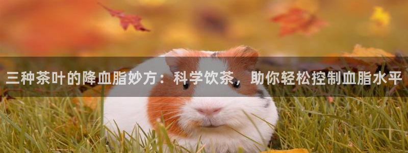 金年会官方在线登录