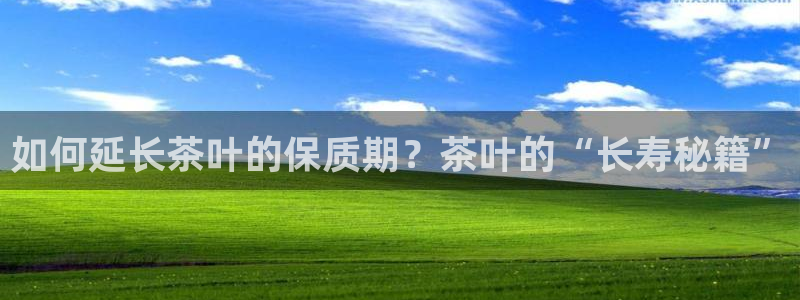 金汉江年会