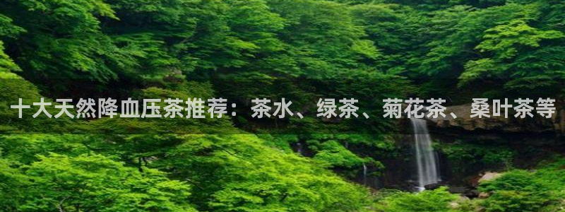 金年会手机版
