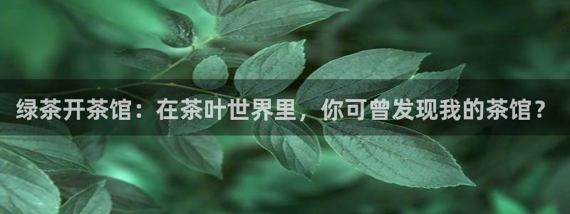 金帆年会2019
